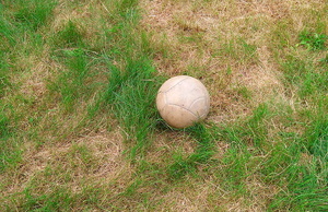 Welche Art von Gras wird auf Fußballfeldern verwendet? Die besten Fußballmomente der Welt
