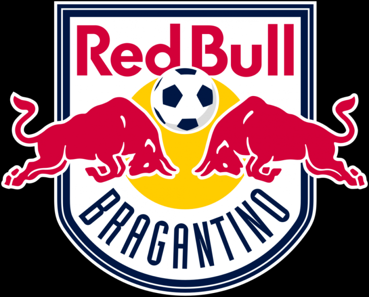 Wie viele Fußballmannschaften besitzt Red Bull?